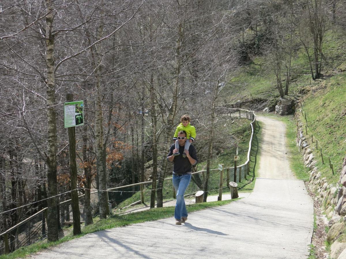 Apartamentos Rurales Les Barnedes Molló Buitenkant foto